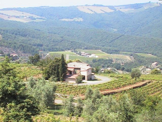 Podere Soccorso Montalcino Buitenkant foto